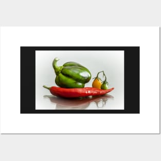 Veggie Posters and Art